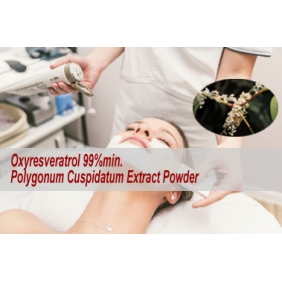 Oxyresveratrol 99% Polygonum Cuspidatum Extract 1kg/BAG