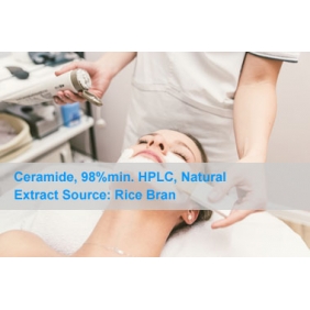 Ceramide Rice Bran Extract Source 98%min. HPLC 500GRAM/bag(1.1LB) FREE SHIPPING