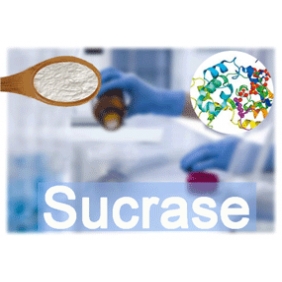 Sucrase 50 000u/g 1kg/bag free shipping