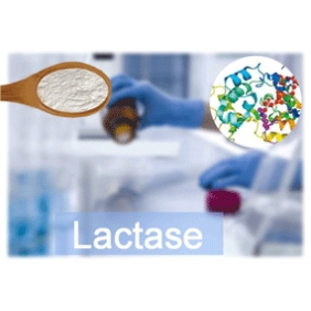 Lactase 10 000u/g 5kg/bag free shipping