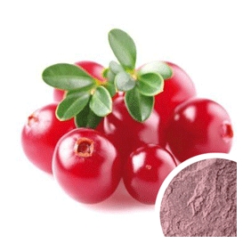 CRANBERRIES JUICE POWDER 5KG/CARTON FREE SHIPPING