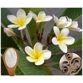 Honokiol Magnolia Bark Extract 5kg/bag free shipping