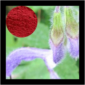 Cryptotanshinone extracted from Salvia Miltiorrhiza Bge. 100mg/bag free shipping