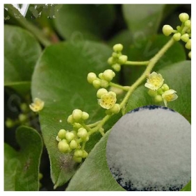 Hanfangichin B 98% HPLC Stephania tetrandra S.Moore Extract Powder 500gram/bag free shipping