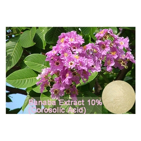 Banaba Extract 10% (Corosolic Acid) 1kg/bag free shipping