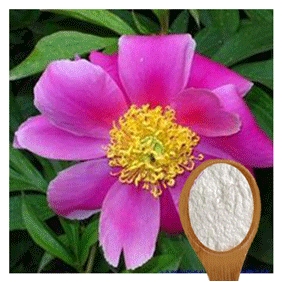 Paeoniflorin 98% HPLC Extract From Paeonia lactiflora 500gram/bag free shipping