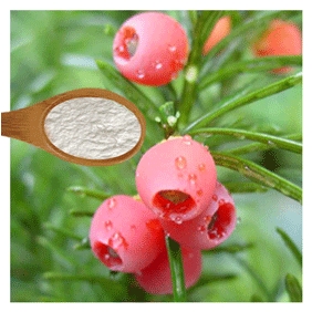 Paclitaxel 98% HPLC Extract from Dried roots branches leaves and bark of yew 1 gram/bag free shipping