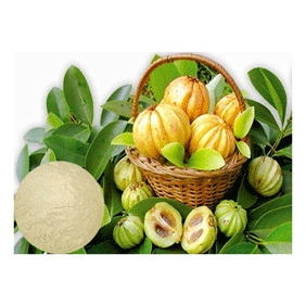 Garcinia Cambogia Extract Powder 60% HCA HPLC 1KG/BAG