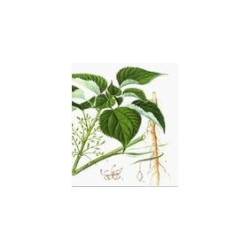 Nettle Root P.E. 3 4-divanillyltetrahydrofuran 95% HPLC 500Grams/bag