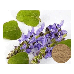 Coleus Forskohlii Extract with Forskolin 10% 1KG/BAG FREE SHIPPING